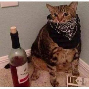 Meet your Posher, Jay